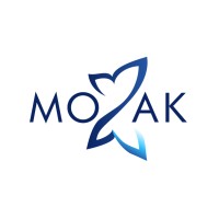 Mozak Design - Website Consultant Logo