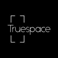 theTRUESPACE Logo