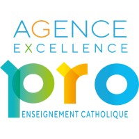 Agence Nationale Excellence Pro Logo