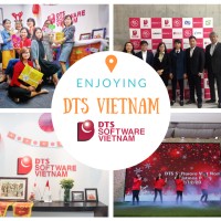DTS Software Viet Nam Logo