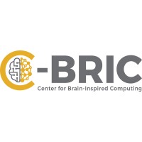 Center for Brain-Inspired Computing Logo