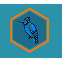 Blue Jay Digital Marketing Logo