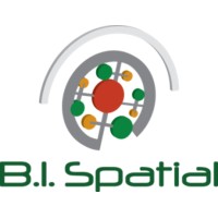 B. I. Spatial Logo