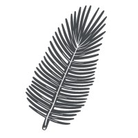 Spruced Creative Logo
