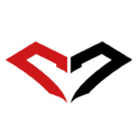 Virtual Gamer Logo