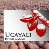 UCAYALI RIVER CACAO Logo