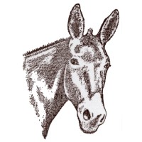 Leavitt Meadows Pack Station Logo