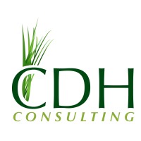 CDH Consulting Logo