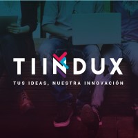 Tiindux Logo