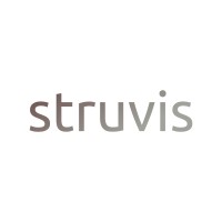 Struvis Consulting Inc. Logo