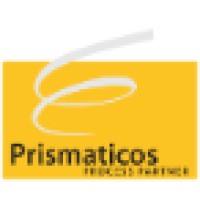 process partners Logo
