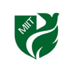 Meerut International Institute of Technology Logo