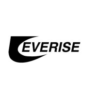 Everise Inc Logo