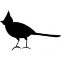 Cardinal Acres Web Development Logo