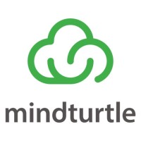 mindturtle Logo
