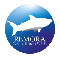 Remora Consultores S.A.S Logo
