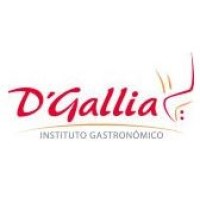 Instituto Alta Cocina DGallia Logo
