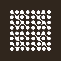 Instituto Data Science S.A. Logo