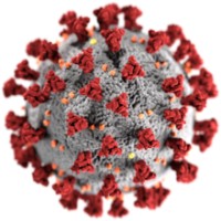 Coronavirus Crisis Emergency Management Group Logo