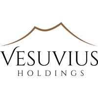 Vesuvius Holdings, LLC Logo