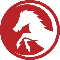 Pony Energy Services Logo