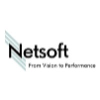 Netsoft Informatics Pvt. Ltd. Logo