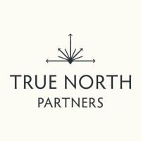 True North Partners LLC Logo