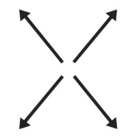Excelsior Dynamic Logo