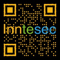 Inntesec Logo