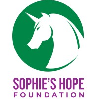Sophies Hope Foundation (CureGSD1b) Logo