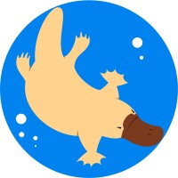Duckbill Network Technology Co.,Ltd. Logo