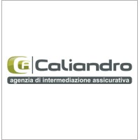 Caliandro Assicurazioni - Agenzia di Intermediazione Assicurativa Logo