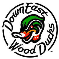 Down East Wood Ducks Logo