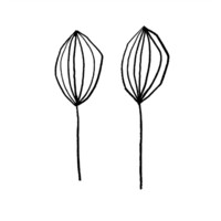 Sparrows Coffee Logo