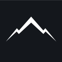 Action Holdings Logo