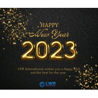 LWR INTERNATIONAL Logo