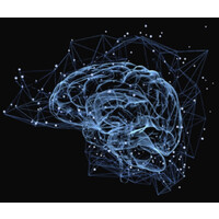 Céos Family Office Logo