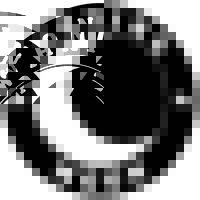Waning Moon Logo