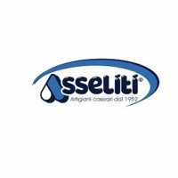 Asseliti S.r.l. Logo
