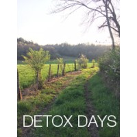 Detox Days Logo