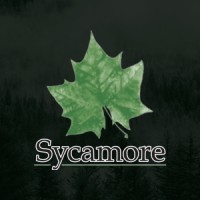 Sycamore Financial Logo