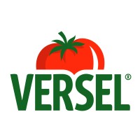 Versel Logo