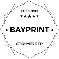 BAYPRINT NI Logo