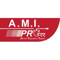 A.M.I PRO INFORMATIQUE Logo