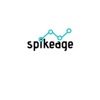 SPIKEAGE IT Company Logo