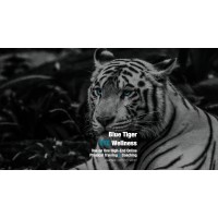 Blue Tiger Eye Wellness Logo