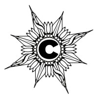 Coding Accelerator Logo