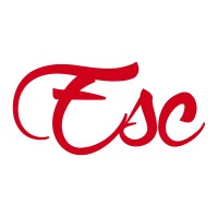 Engineering Systems Consulting Logo