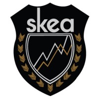 SKEA Limited Logo