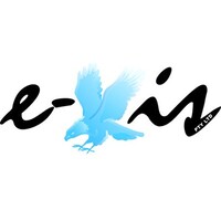 E-VIS Pty Ltd Logo